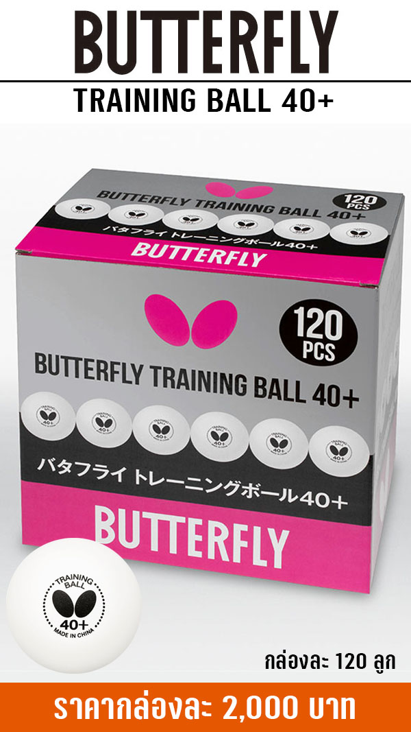 BUTTERFLY TRAINING 40+
