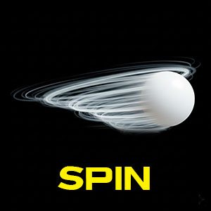 1 SPIN