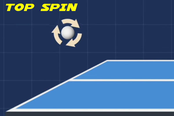 1 TOP SPIN