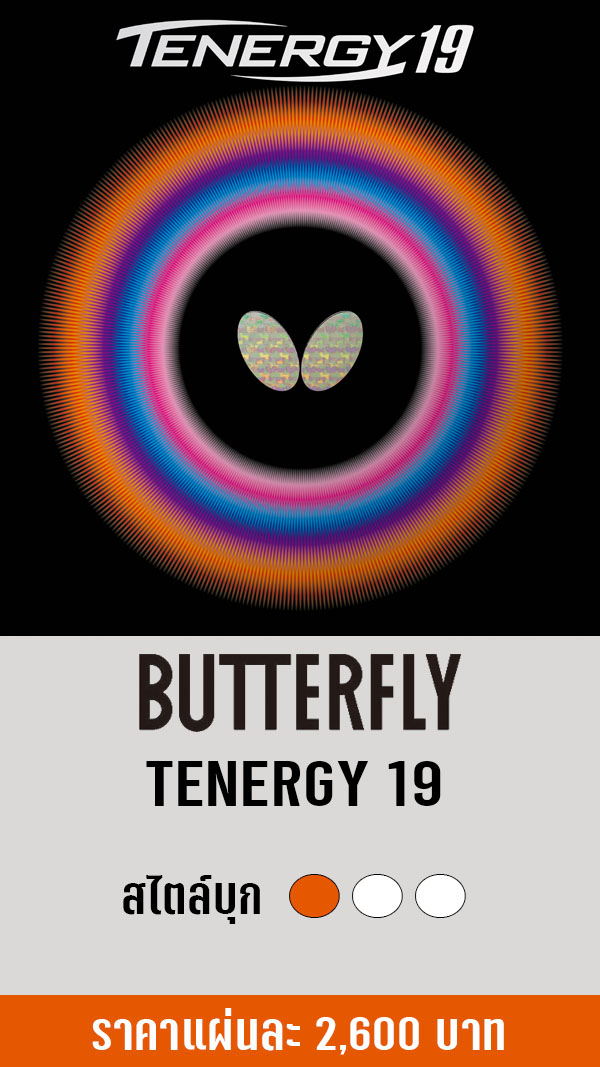 BUTTERFLY TENERGY 19