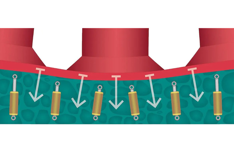 BUTTERFLY ABSORBER SPONGE BUTTERFLY ABSORBER SPONGE