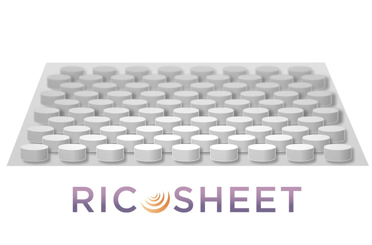 BUTTERFLY RIC SHEET BUTTERFLY RIC SHEET