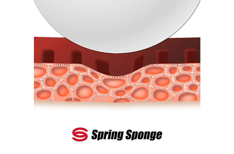 BUTTERFLY SPRING SPONGE BUTTERFLY SPRING SPONGE