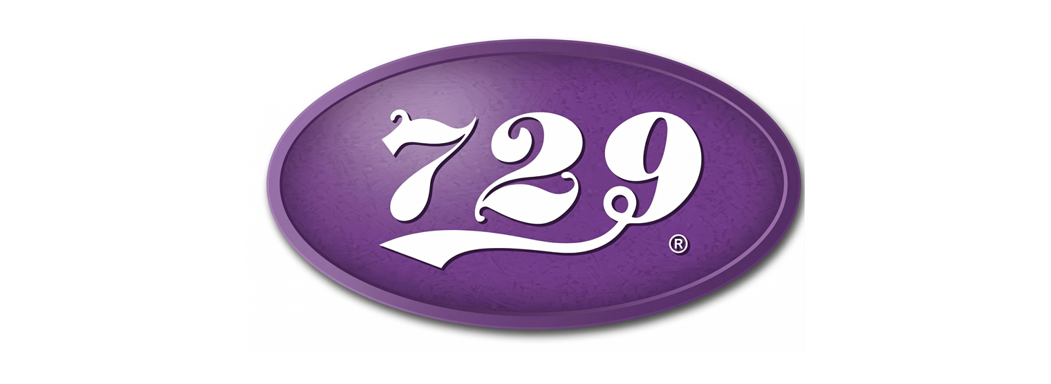 LOGO 729
