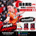 MiwaHariMoto